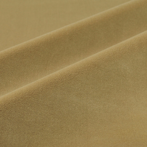 EMPRESS Dune