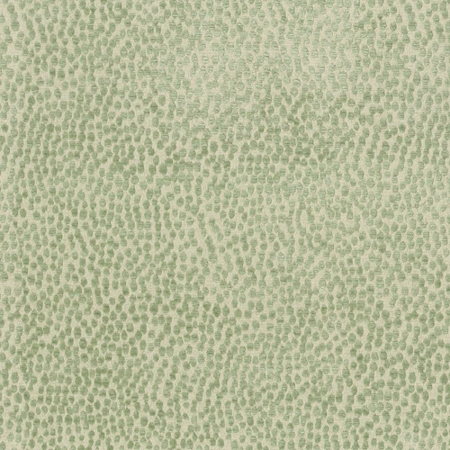 SPOTTY DOTTY Meadow