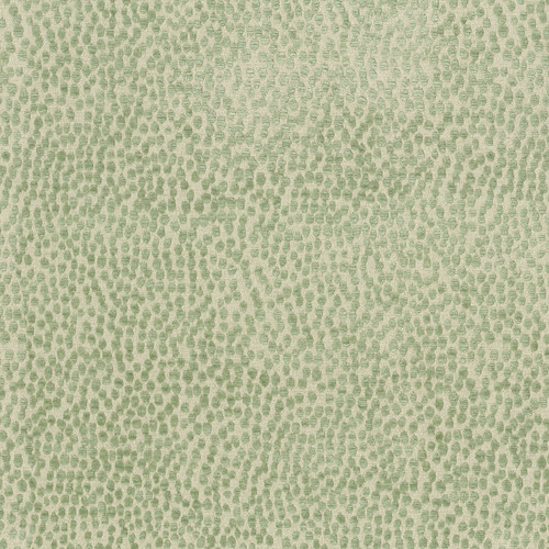 SPOTTY DOTTY Meadow