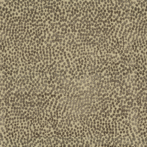 SPOTTY DOTTY Woodland