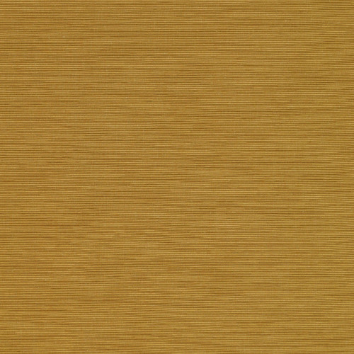 ALEXANDER Turmeric