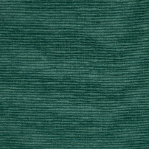 ALEXANDER Rainforest