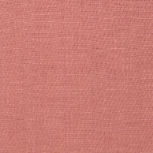 DON GIOVANNI Canyon Rose