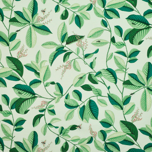 LEAFLET Spruce