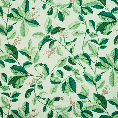 LEAFLET Spruce