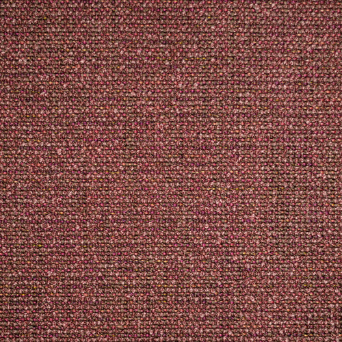 PARADOX Plum