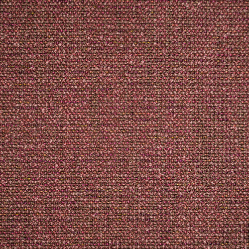 PARADOX Plum