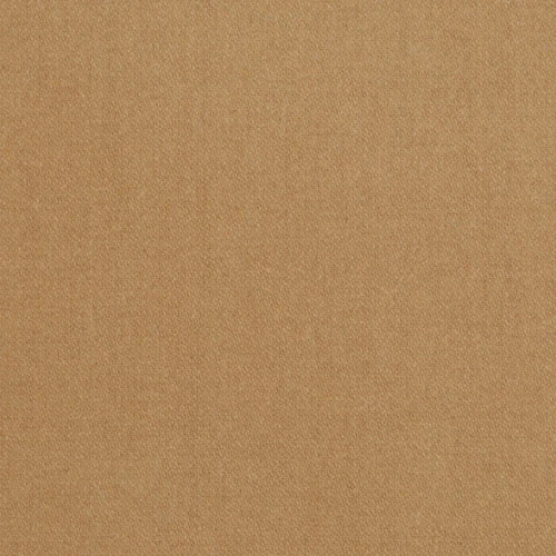 ANDERSON Camel