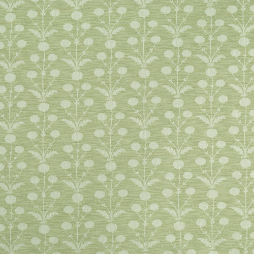 MUGHAL BLOOMS Celery