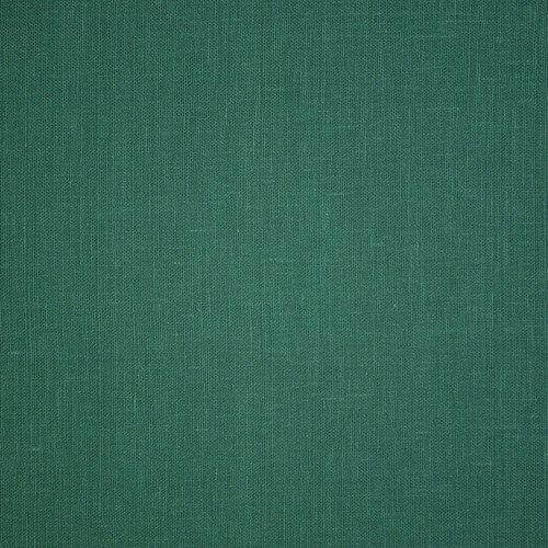 LUNA Blue Spruce