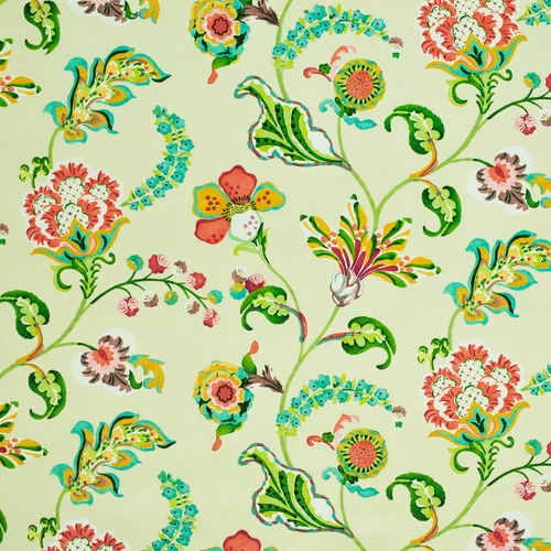 LILY Spring