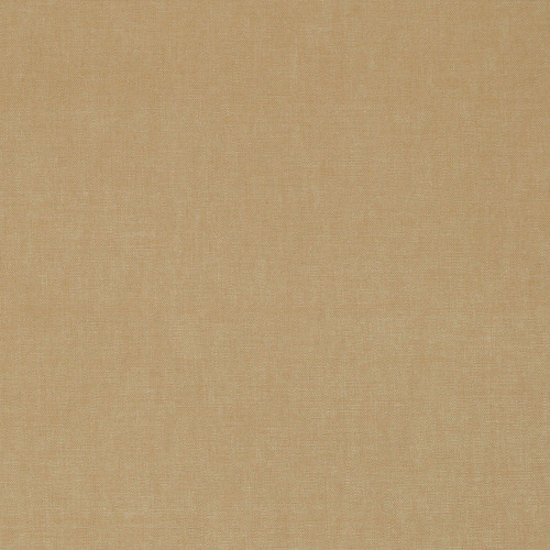 KENT Barley