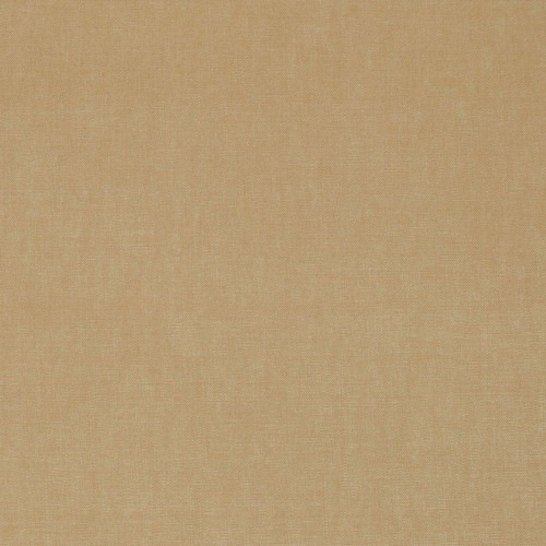 KENT Barley