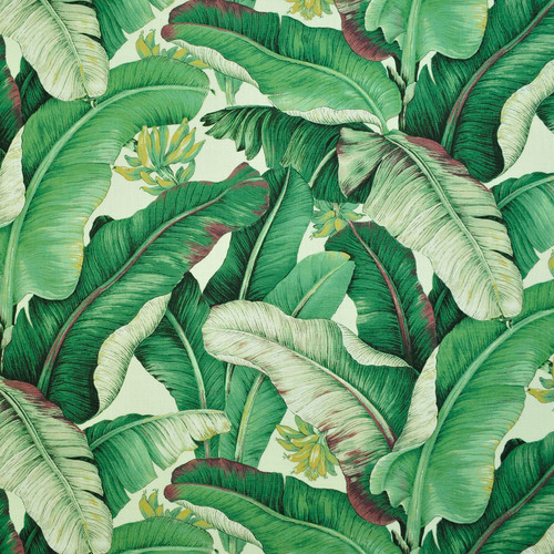 ISLAND WHIM Palm
