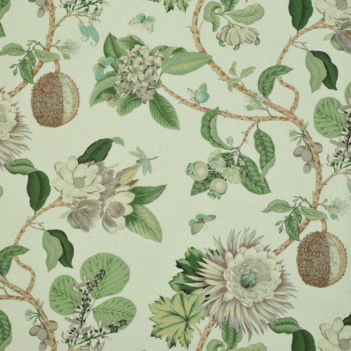 EARTHLY DELIGHTS Aloe