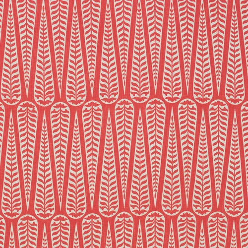 CORDOBA Coral