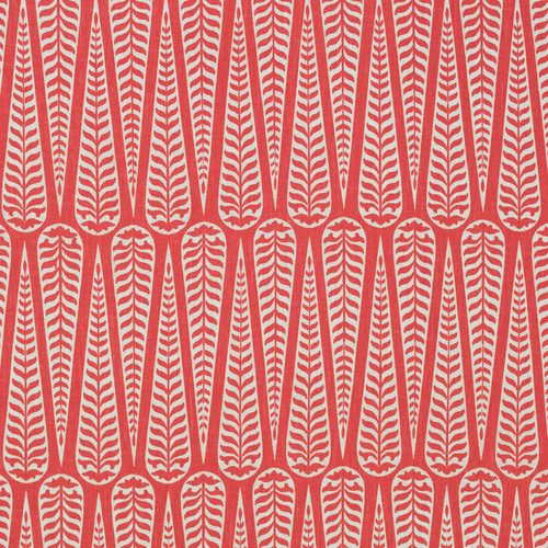 CORDOBA Coral