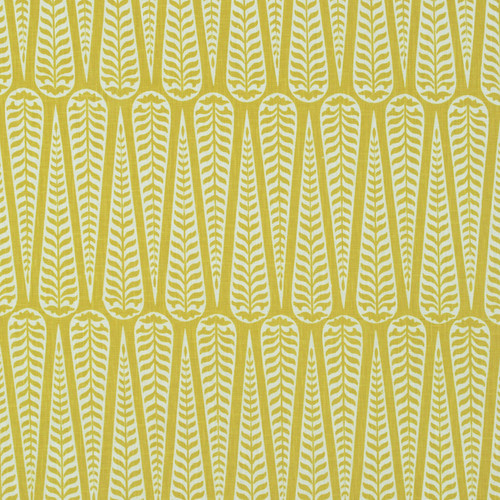 CORDOBA Citron