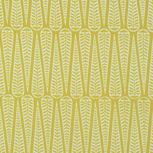CORDOBA Citron