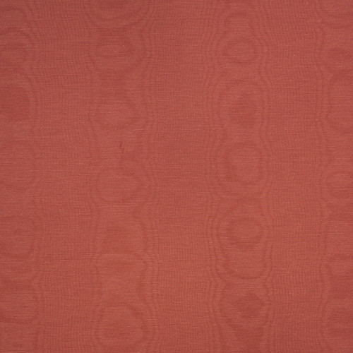MOIRE Redwood