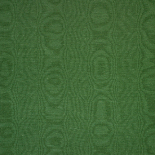 MOIRE Moss