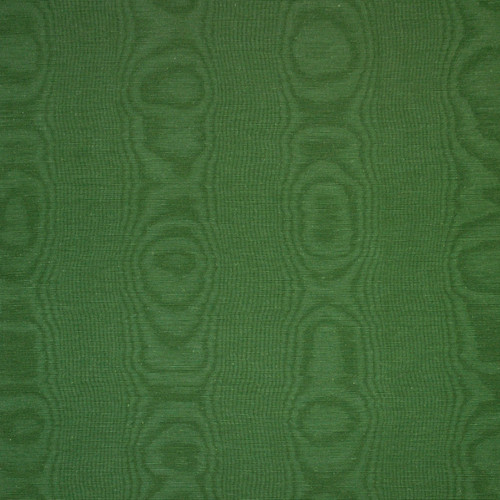 MOIRE Moss