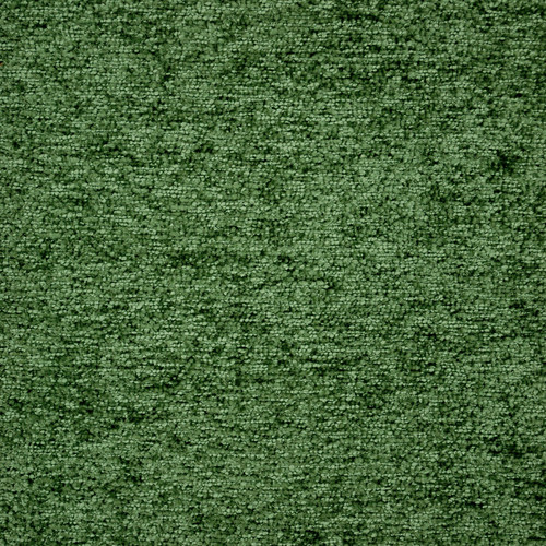 SHOGUN Fern