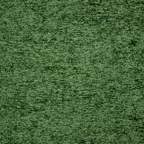 SHOGUN Fern