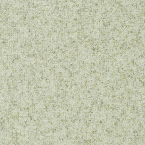 PINTURICCHIO Gull