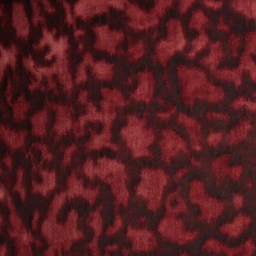 PERF BELLORA Bordeaux
