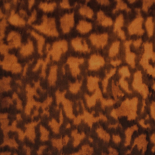 PERF BELLORA Burnished