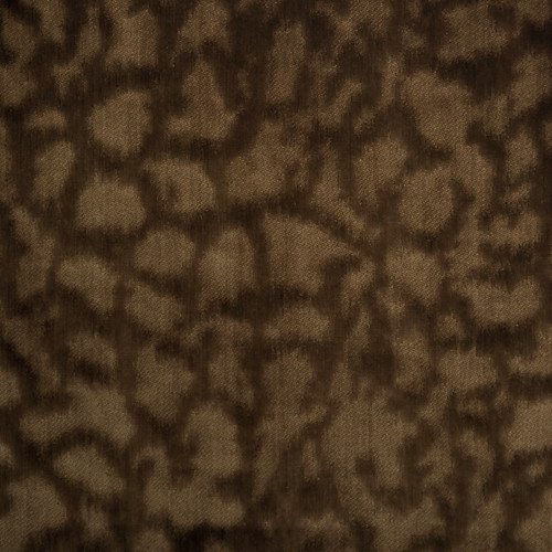 PERF BELLORA Chestnut