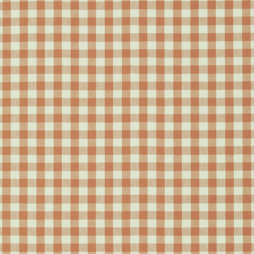 CLEAN CHECK Clay