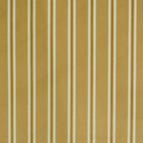 VELVETEEN STRIPE Gold