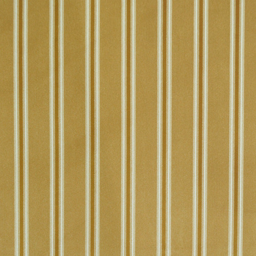 VELVETEEN STRIPE Gold