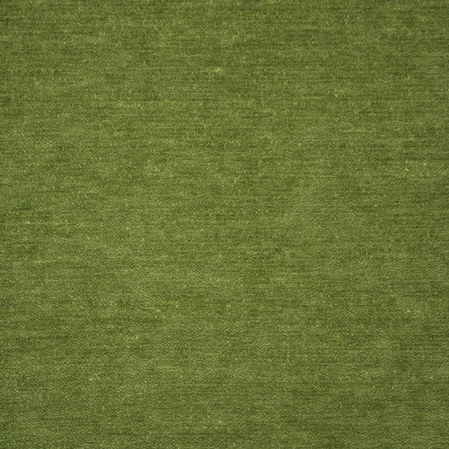 KISMET Moss