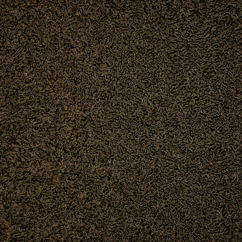 KARAKUL Sable