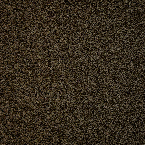 KARAKUL Sable