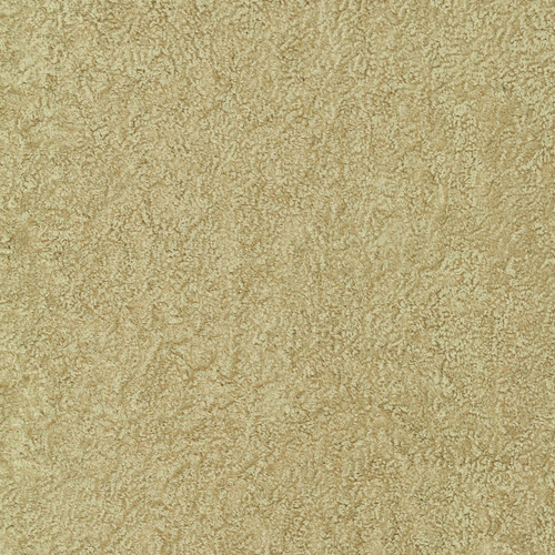 KARAKUL Desert