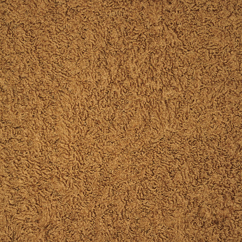 KARAKUL Fawn