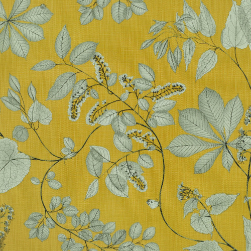 ARBORETUM Citrine Fm