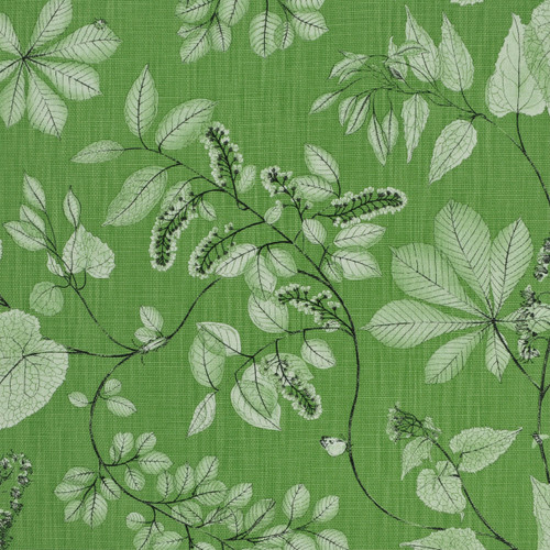 ARBORETUM Meadow Fm