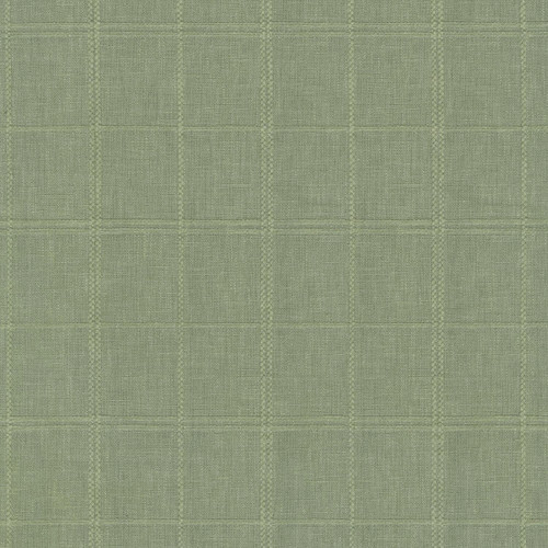 MORAY Wintergreen