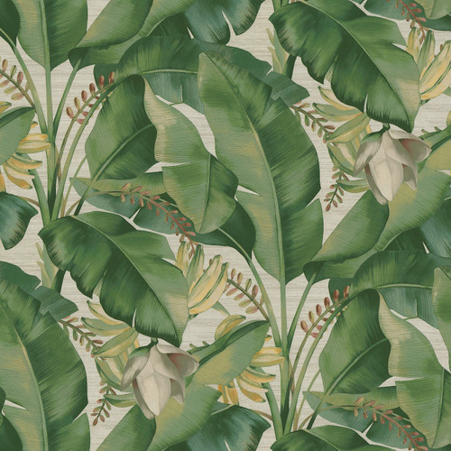 AMONG FRONDS-PRM Aloe