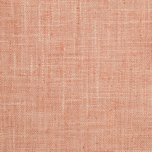 SPEEDY PLUS Soft Coral
