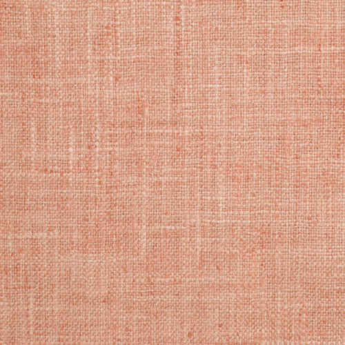 SPEEDY PLUS Soft Coral