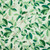 LEAFLET Spruce