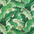 ISLAND WHIM Palm