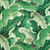 ISLAND WHIM Palm
