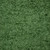 SHOGUN Fern